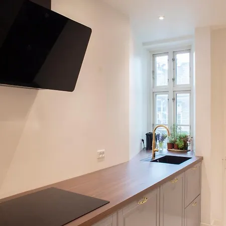 Modernized Flat In The Heart Of Vesterbro Leilighet
