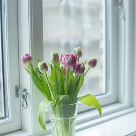 Modernized Flat In The Heart Of Vesterbro